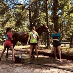 Meet your Posher, Brooke